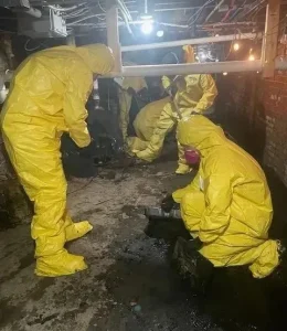 Mold+Removal-1920w